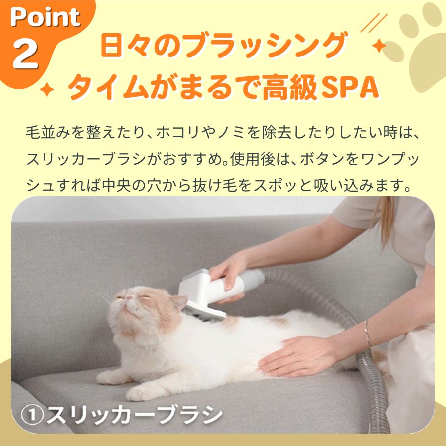 Homerunpet（ホームランペット） ペットグルーミングキット 静音 安全