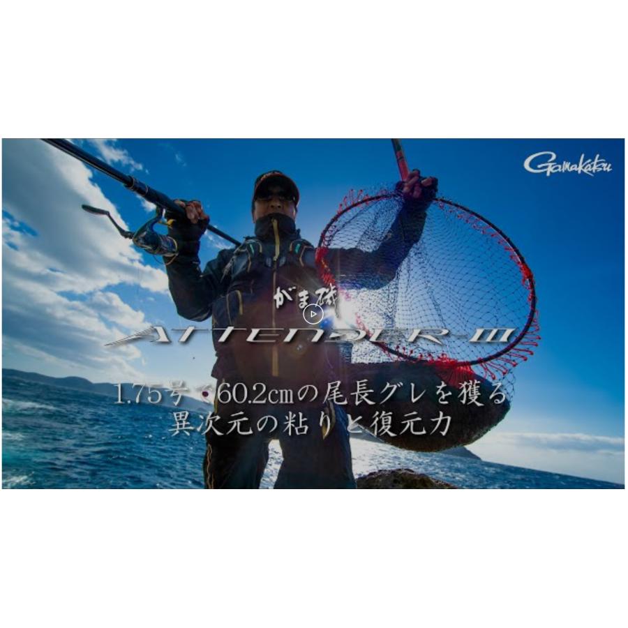 Gamakatsu（がまかつ） (送料無料)がまかつ/Gamakatsu がま磯