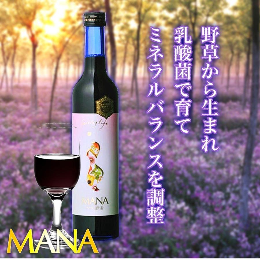 マナ酵素 酵素ドリンク 500ml × 2本 3日 ファスティング ダイエット