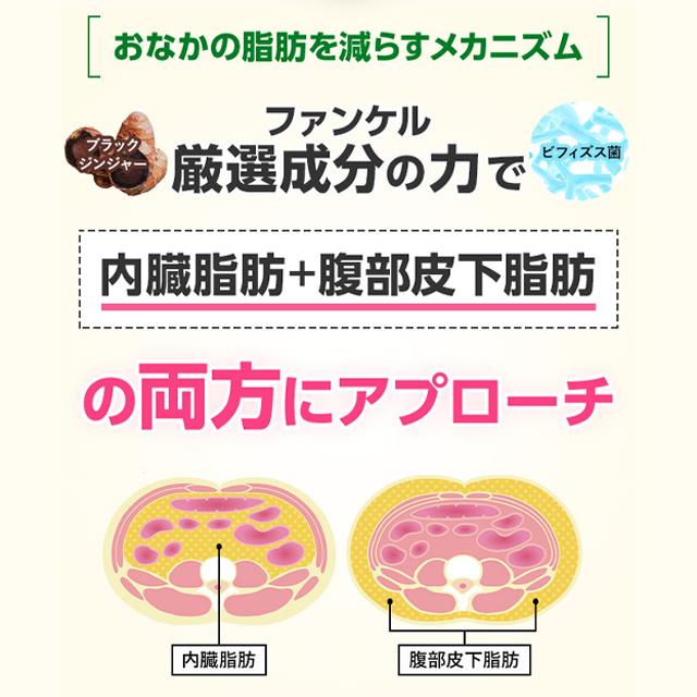 FANCL（ファンケル） 【ポイント10%】 内脂サポート 機能性表示食品 30