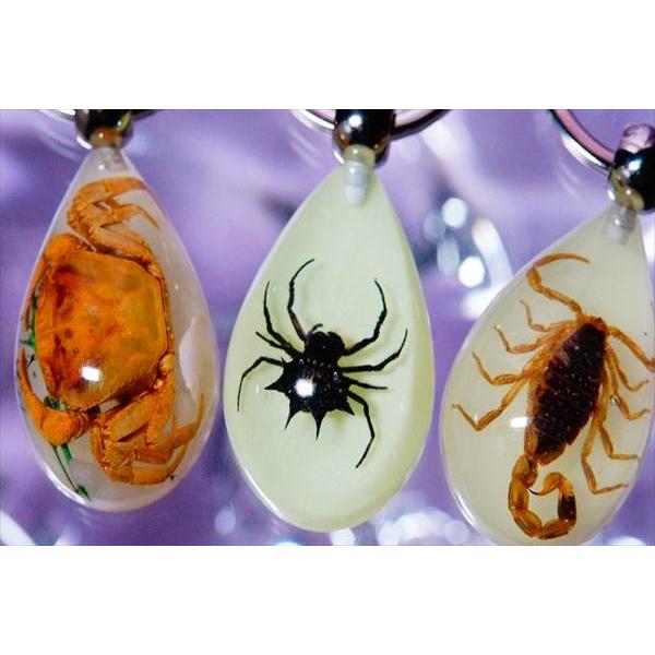 蠍or蟹or蜘蛛」入り夜光(蓄光)ガラス・ドロップ(雫型)パーツ付き 暗闇