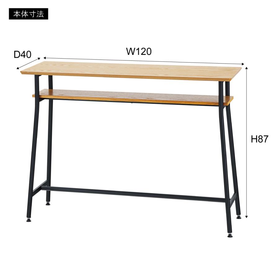 東谷 カウンターテーブル 幅120cm 奥行40cm 収納 天然木 オーク
