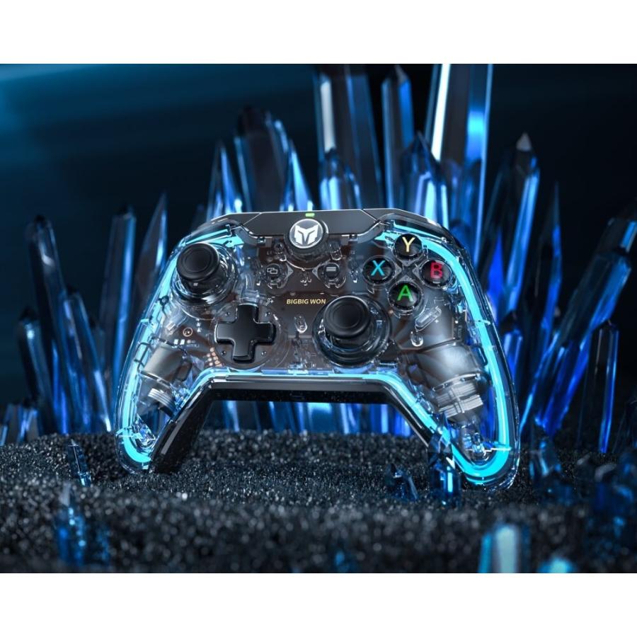 ゲーミングコントローラー 有線 BIGBIG WON USB接続 PC/Switch対応 RGB