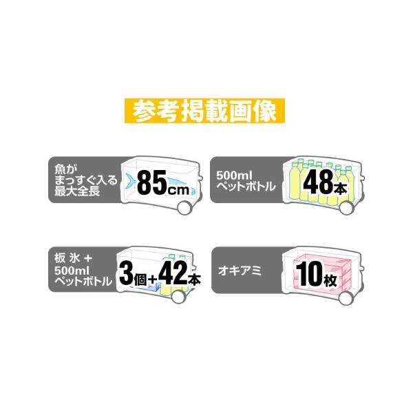 シマノ（SHIMANO） 爆買 (取寄せ 3月末頃メーカー生産予定) NS-265T