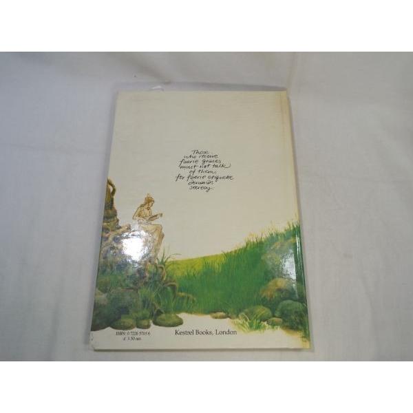 仕掛絵本[The FAERIES Pop-up Book] フェアリーズ ブライアン