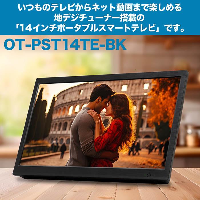 スマートテレビ 14インチ 地デジチューナー搭載 android 3電源対応 地
