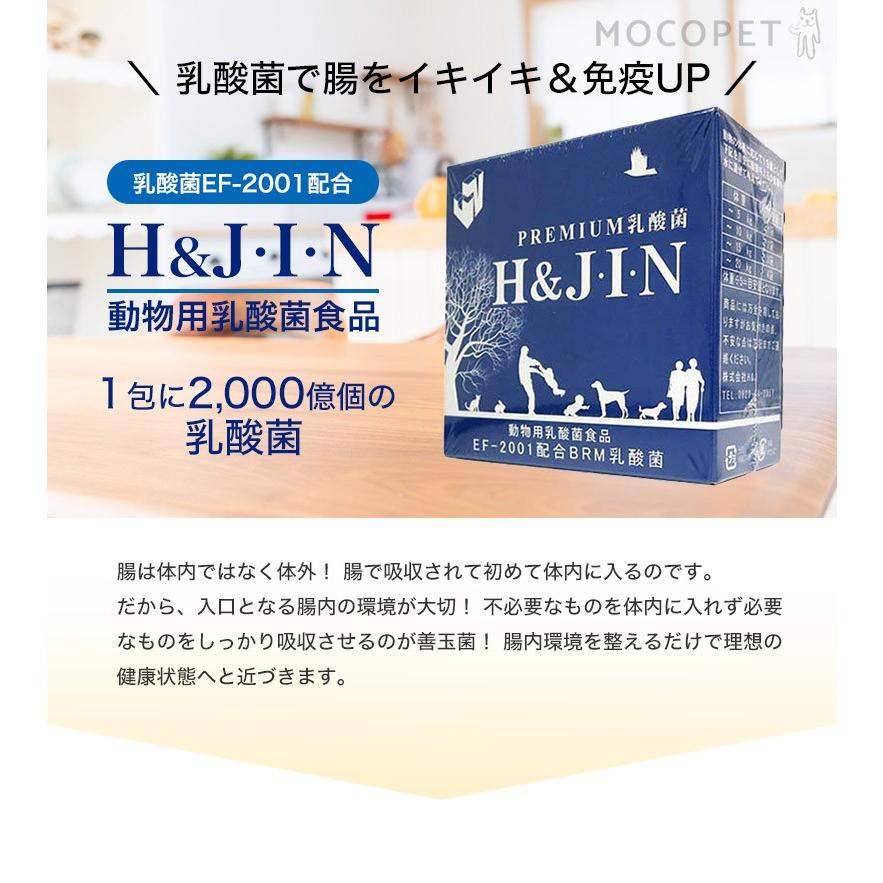 H＆J PREMIUM 乳酸菌 H＆J・I・N 90包 / エイチジンブルー 高品質