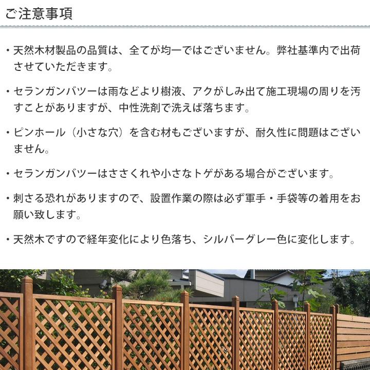 3枚セット] ラティスフェンス 外構 DIY 90×180cm セランガンバツ