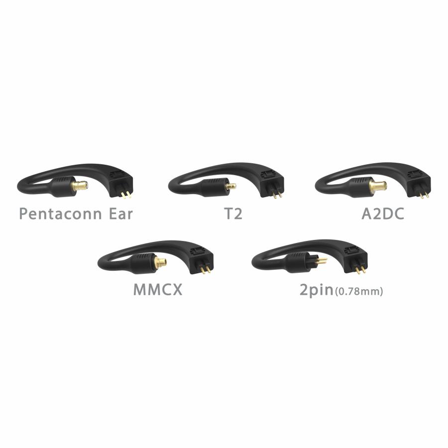 iFi audio（アイファイオーディオ） iFi audio GO pod (ゴーポッド