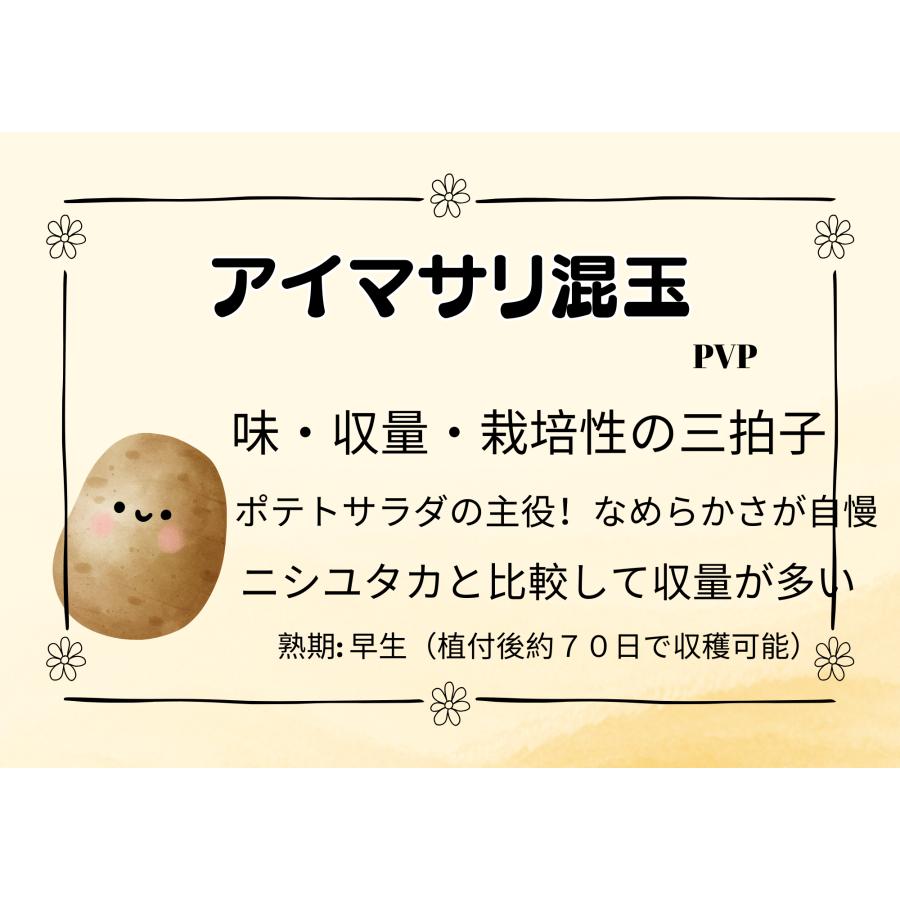 10Kg 種芋 アイマサリ 混玉 切り口保護材1袋添付サービス ジャガイモ