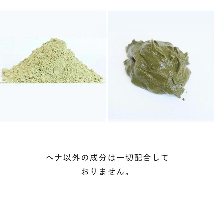 ヘナ インディゴ ヒルコス 無添加ヘナ粉末染料 ヘンナカミ1000g 無添加