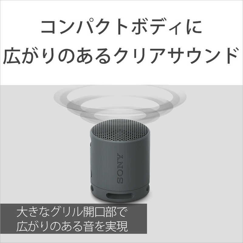 SONY（ソニー） 【当店1年保証】SONY ワイヤレスポータブルスピーカー