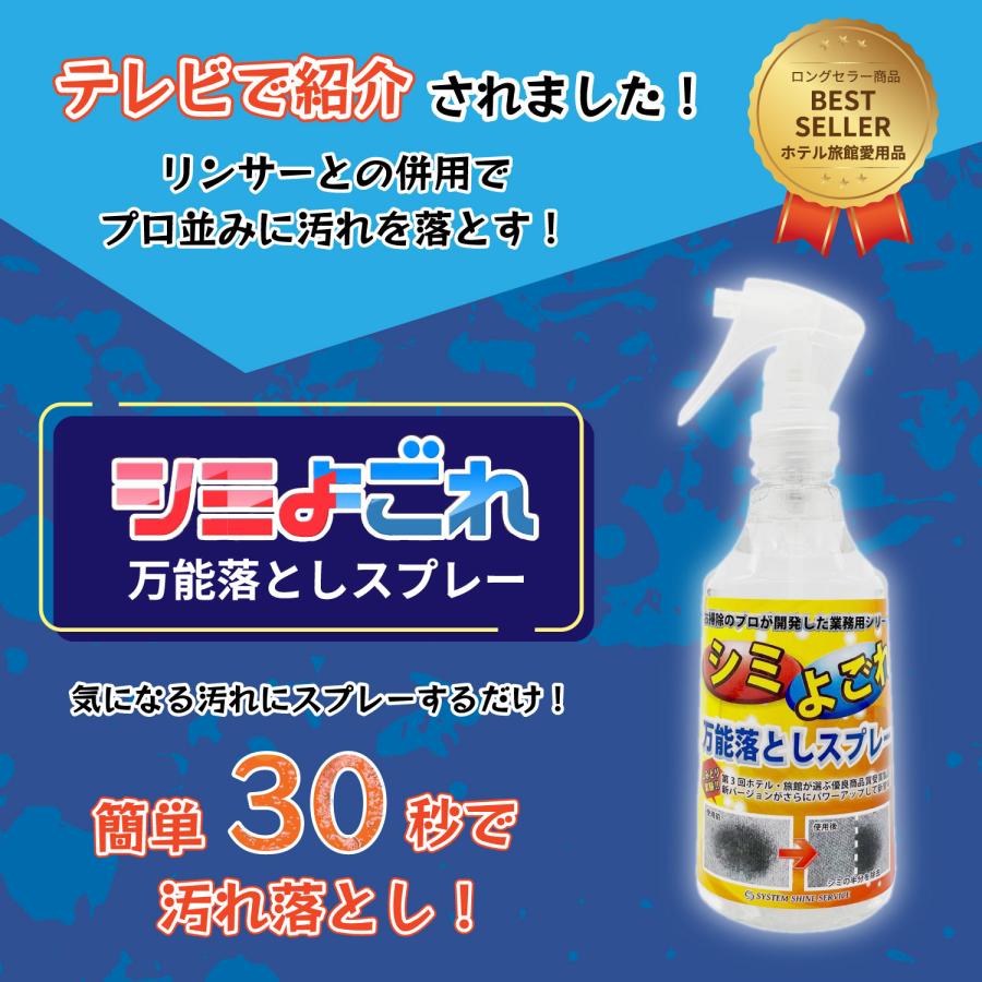 IRIS OHYAMA（アイリスオーヤマ） リンサークリーナー RNSP-P500 +