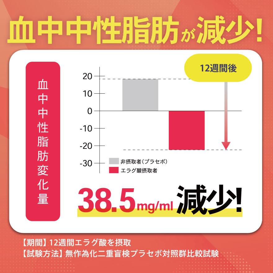 亀山堂 ワイルドマンゴーの力 A エラグ酸 機能性表示食品 30日分 60粒