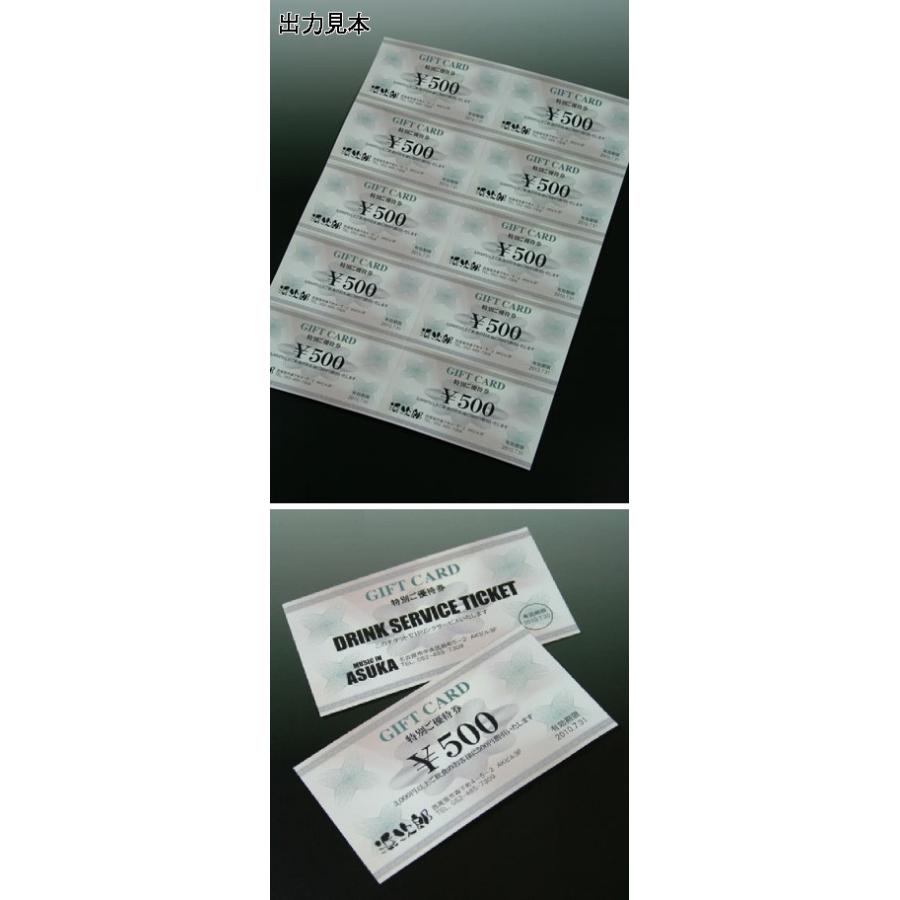 ギフト券 優待券 割引券 抽選券作成用紙 A4-10分割(50枚入 500枚分