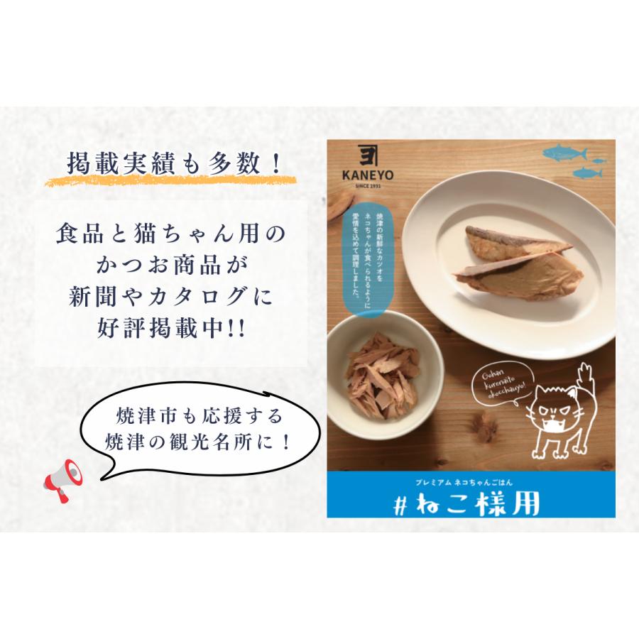 キャットフード 猫 子猫 シニア猫 #ねこ様用 60g 10袋 スモークカツオ