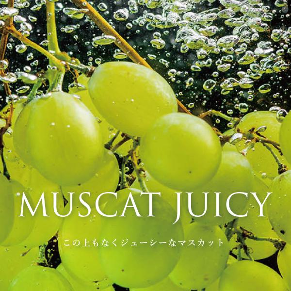 FINCA（フィンカ） マスカット ジューシー -青葡萄の独り言