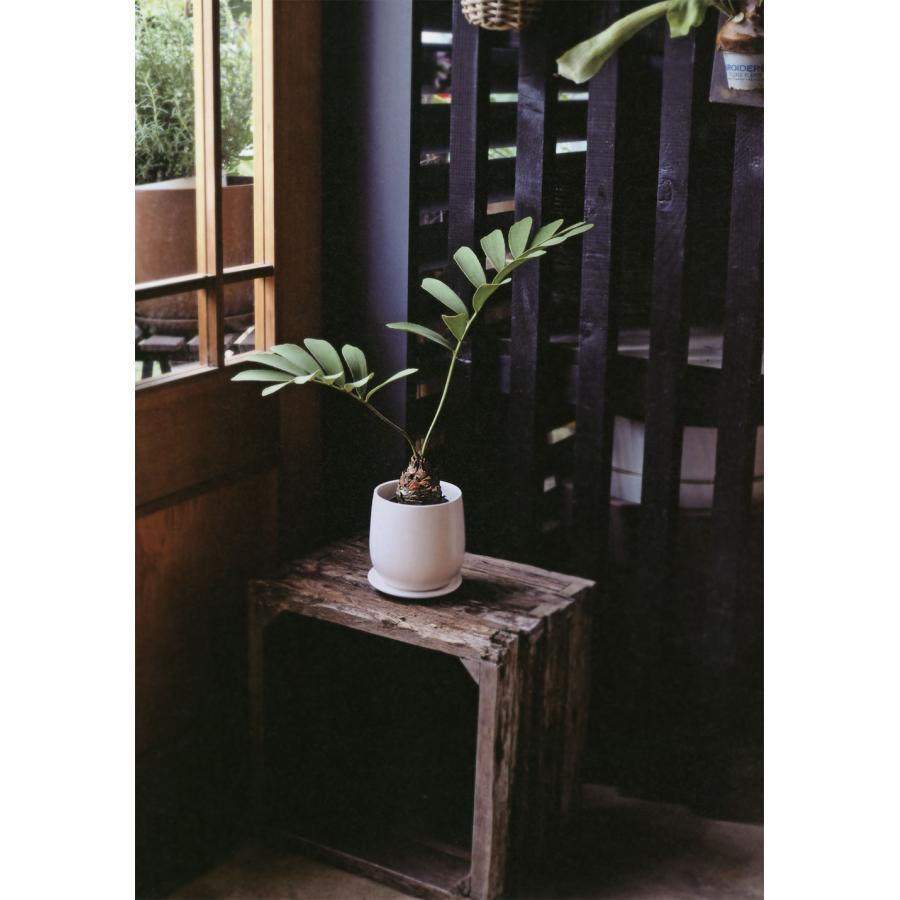 植木鉢 受け皿付き おしゃれ 人気 プランター ポット 観葉植物 観葉鉢