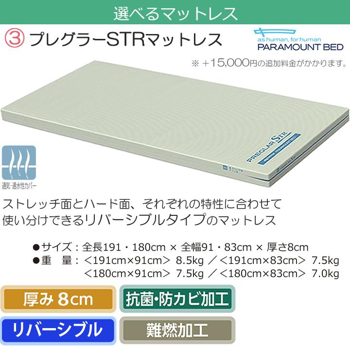 パラマウントベッド（PARAMOUNT BED） 介護ベッド レント サンド