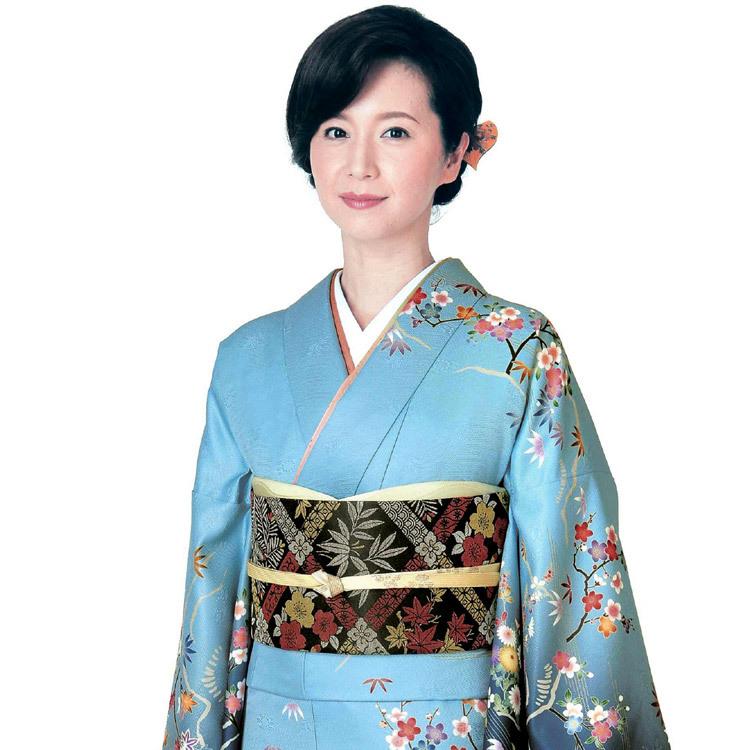 H.L（アッシュ・エル） 訪問着 フルセット 18点 洗える 着物 帯 長襦袢