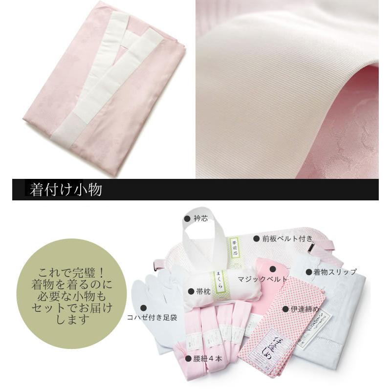 H.L（アッシュ・エル） 訪問着 フルセット 18点 洗える 着物 帯 長襦袢