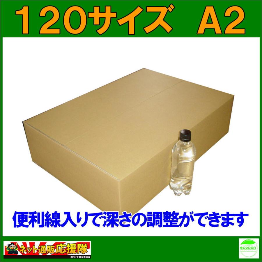 桐パック 法人限定 ダンボール箱120サイズA2(段ボール箱)5枚(外寸：605