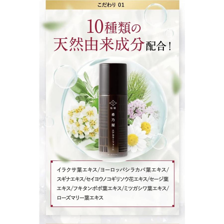 希乃屋 (きのや) 白髪染め エアカラーフォーム ダークブラウン 【医薬