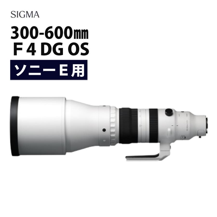 シグマ（SIGMA） （レビュー特典あり）シグマ 300-600mm F4 DG OS（S