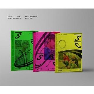 ☆初回特典☆ EXO-SC セフン＆チャニョル (EXO) ミニ1集 アルバム What