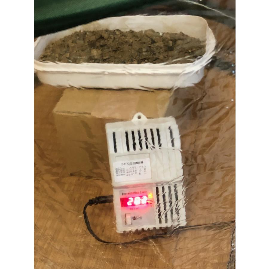 ラジウム鉱石のかけら100g ユークセン石 4μSv/h ラドンガスも