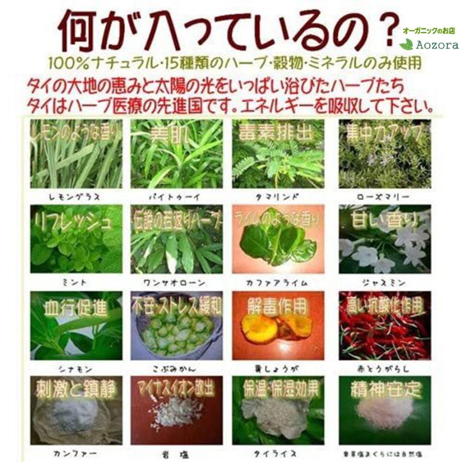 楽草ホットパット L サイズ 蒸気温熱 冷え性 温活 妊活 冷え対策 腰痛