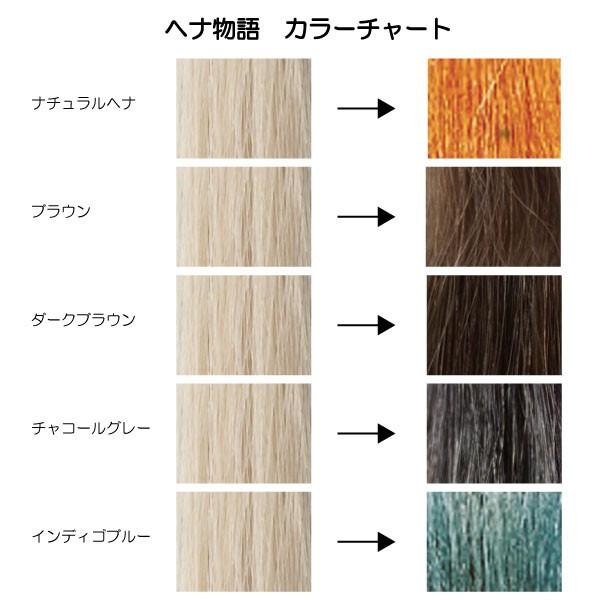 公式ショップ】ヘナ物語 インディゴブルー 100g 最高品質インド藍（木