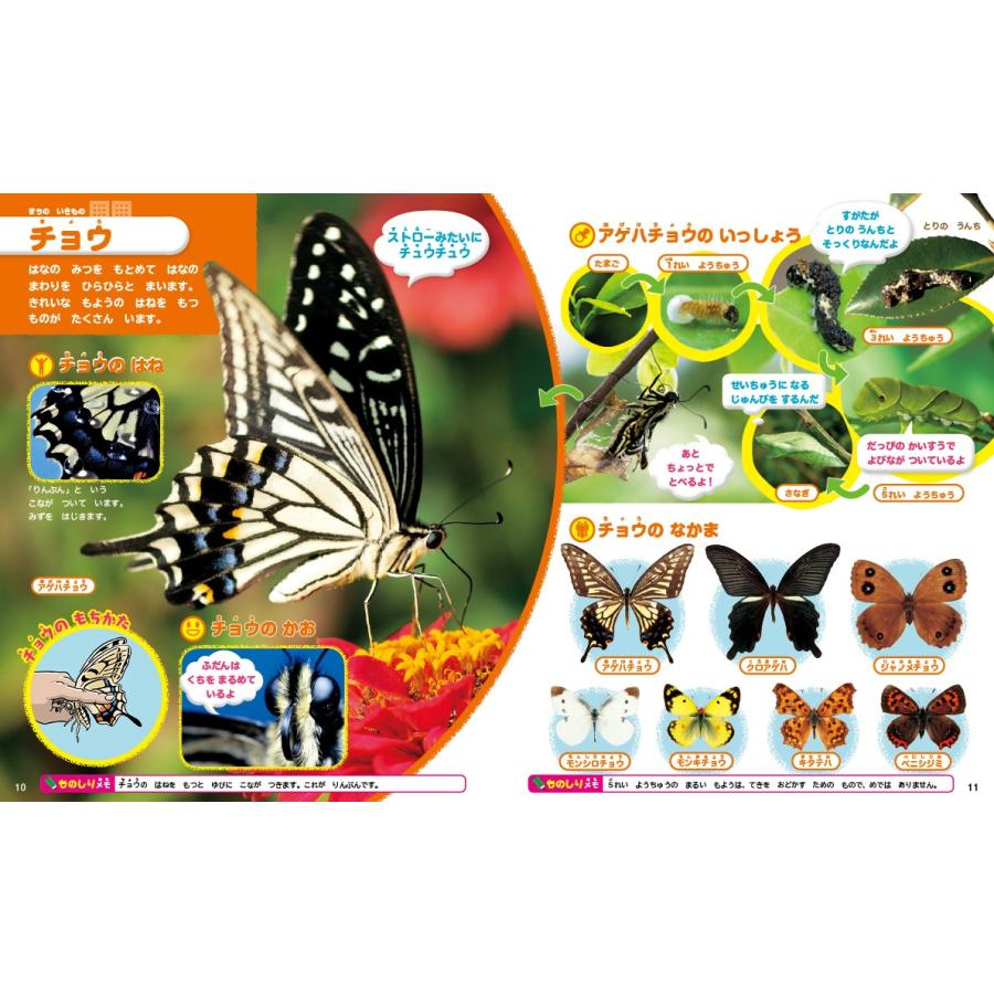 講談社の動く図鑑MOVE) DVD付 はじめてのずかん みぢかないきもの