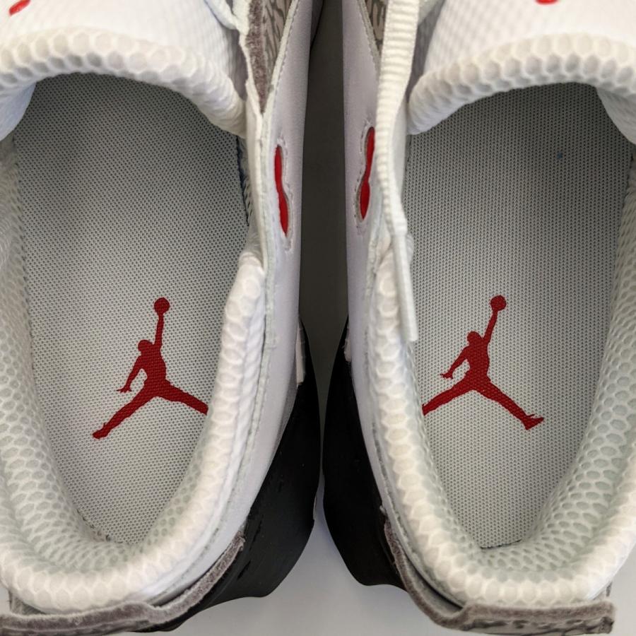 NIKE（ナイキ） JORDAN ADG 2 NIKE ジョーダン ゴルフシューズ メンズ