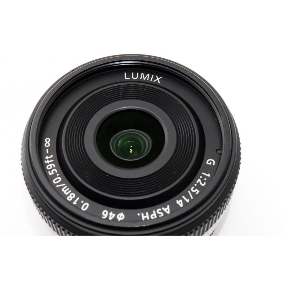 LUMIX Gシリーズ 単焦点レンズ Panasonic パナソニック G 14mm/F2.5