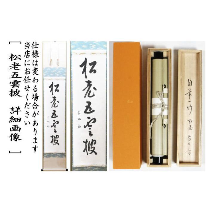 中古 茶道具 掛軸 掛け軸 一行 松老五雲披 久田宗也筆 尋牛斎 茶道