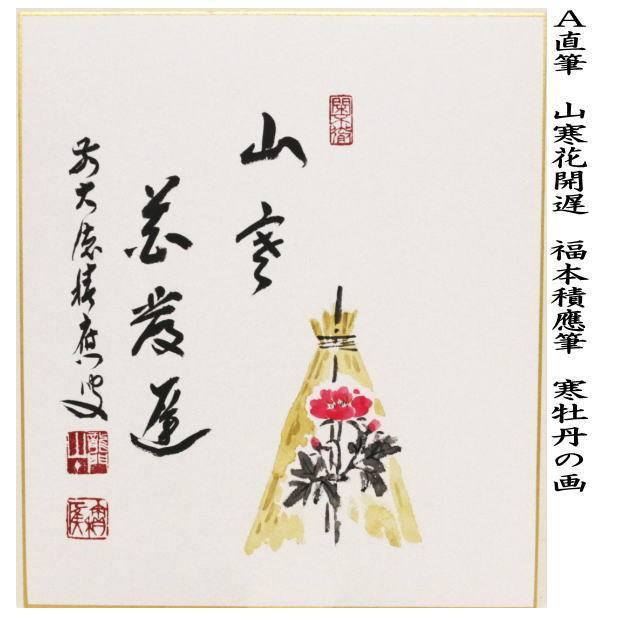茶道具 色紙画賛 直筆 山寒花開遅 福本積應筆 寒牡丹の画 色紙 寒牡丹