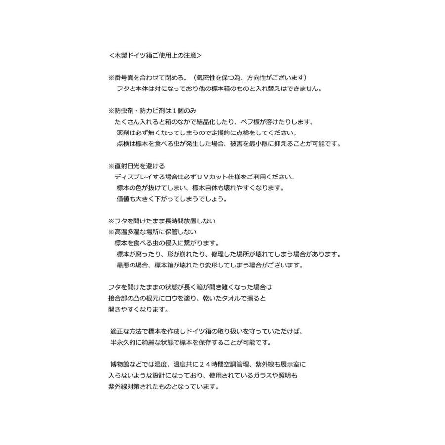 大型ドイツ型標本箱（黒） : インセクテック・ドット・コム - 通販