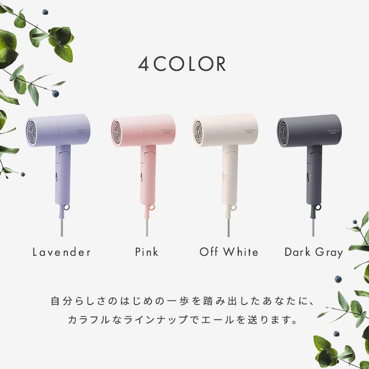 IRIS OHYAMA（アイリスオーヤマ） ドライヤー 速乾 大風量 3段階調節