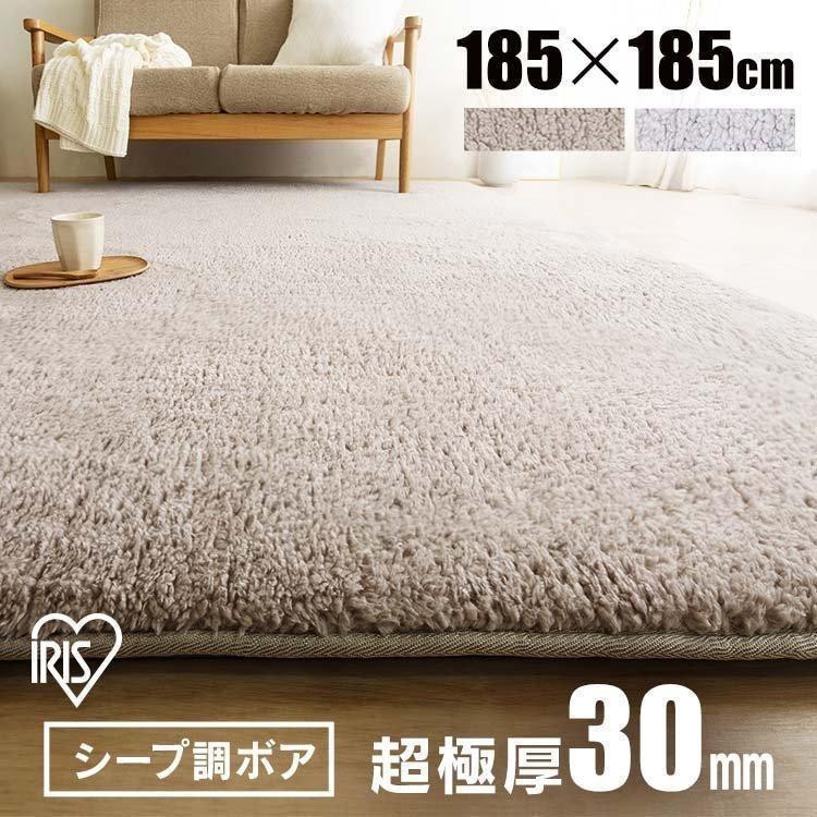 IRIS OHYAMA（アイリスオーヤマ） ラグ ラグマット 2畳 冬用 おしゃれ