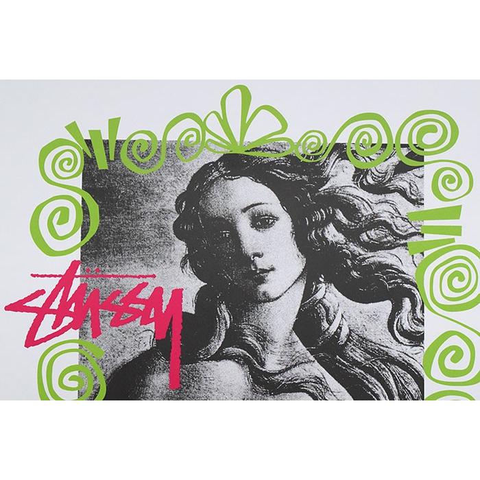 STUSSY（ステューシー） カレンダー STUSSY Stussy 2020 ( stussy