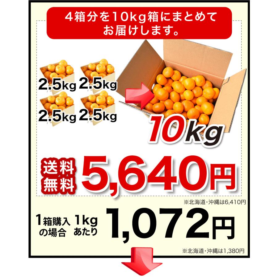 伊藤農園 みかん 訳あり小玉 2.5kg 5kg 分買うと送料無料 3箱買うと