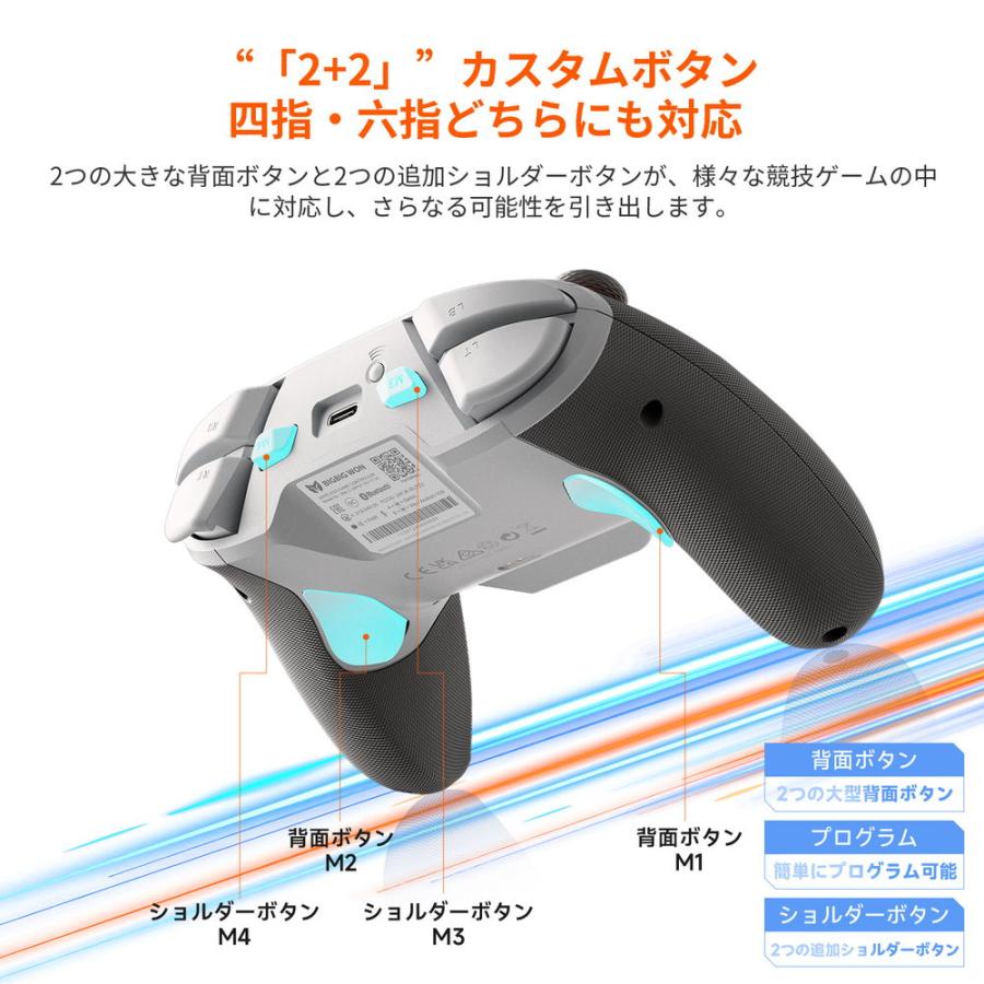 BIGBIG WON BLITZ2 TMR プロゲーミングコントローラー ポーリング