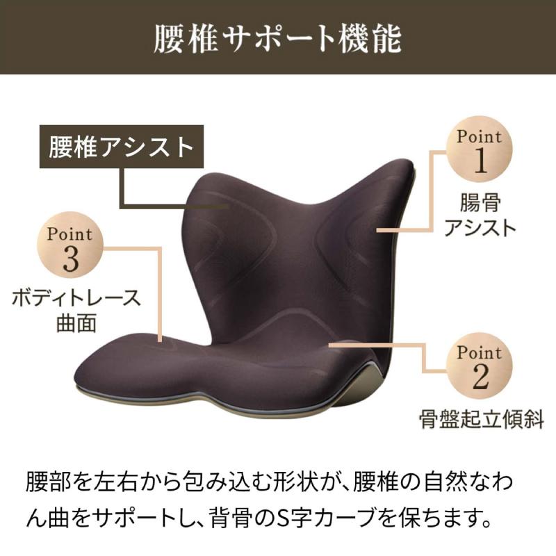 MTG 骨盤矯正クッション 黒（スタイルプレミアム） Style（スタイル