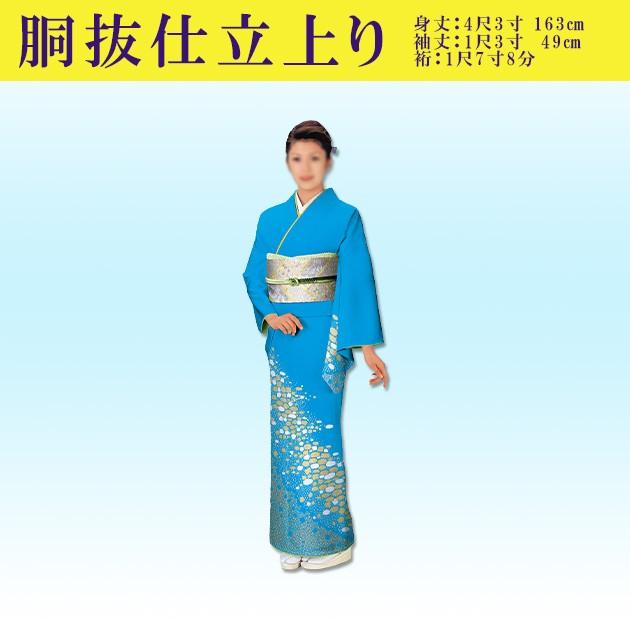 踊り 着物 きもの 優美胴抜き仕立上り洗える着物 訪問着 衣装 水色