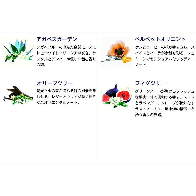 新オイル追加 2025/06/24】アロマオイル ランプベルジェ フレグランス