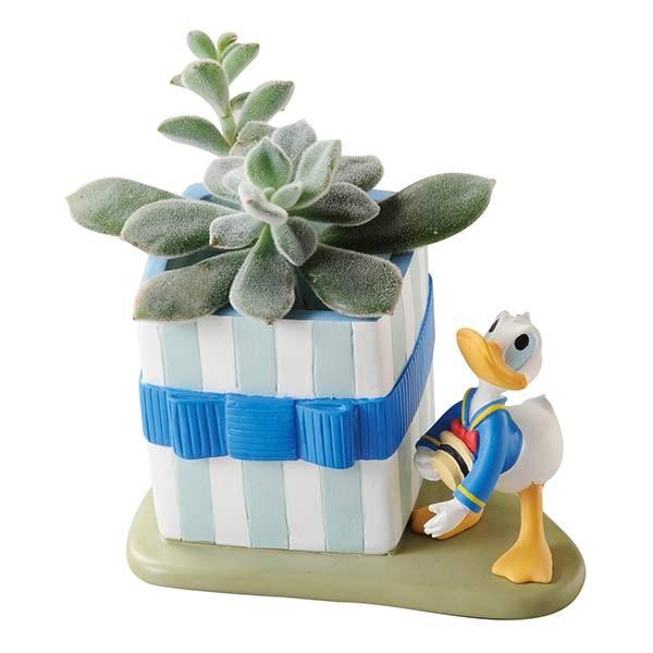 Disney（ディズニー） ミニプランター ギフト ドナルドダック