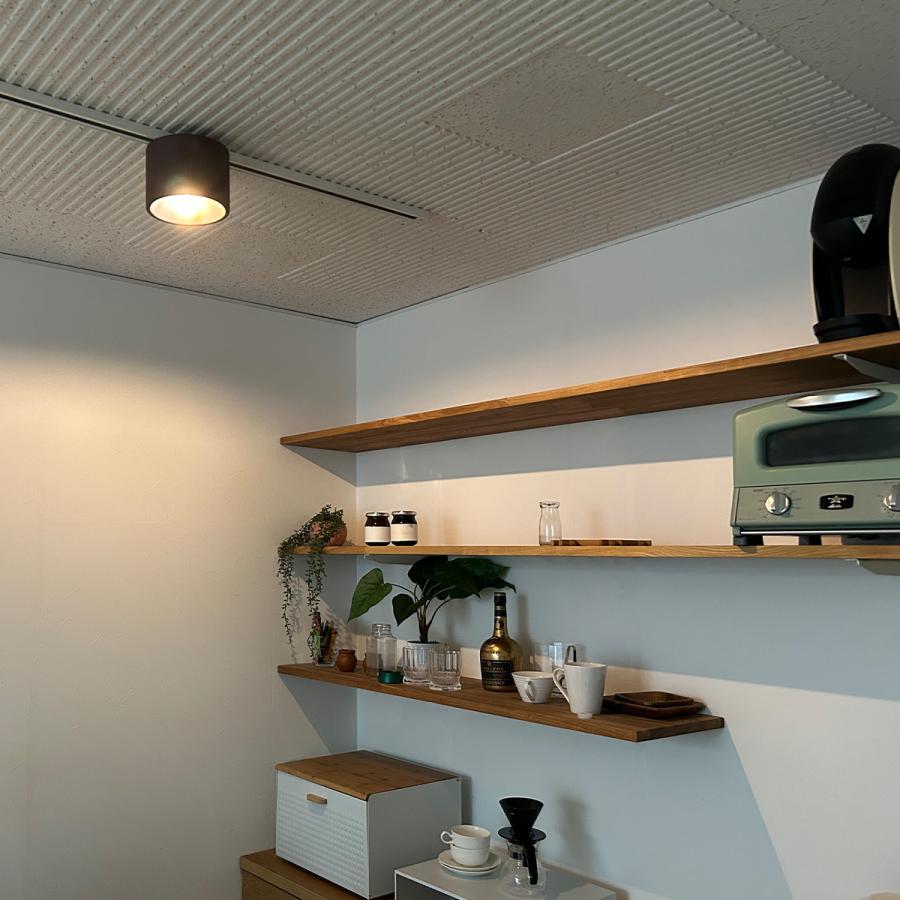 ARTWORKSTUDIO（アートワークスタジオ） Eve シーリングライト