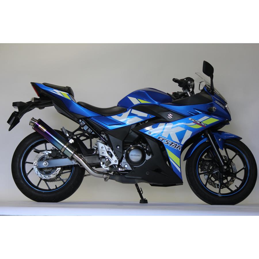 GSX Realize GSX250R バイクマフラー 2BK-DN11A 8BK-DN12B 2017〜2021