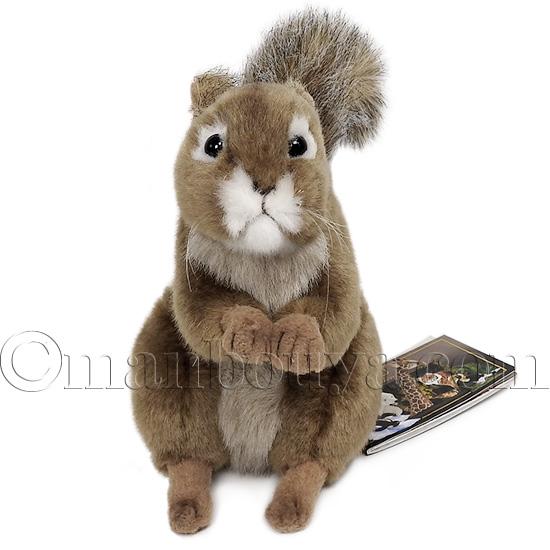 リス ぬいぐるみ ハンサ HANSA アカリス 20 リアル 16cm : まんぼう屋